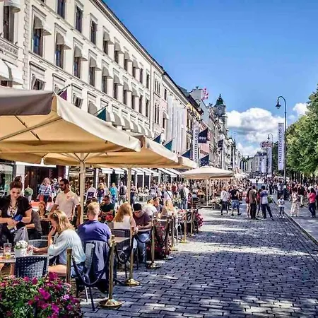 Floor Center Flat With Free Parking * Oslo